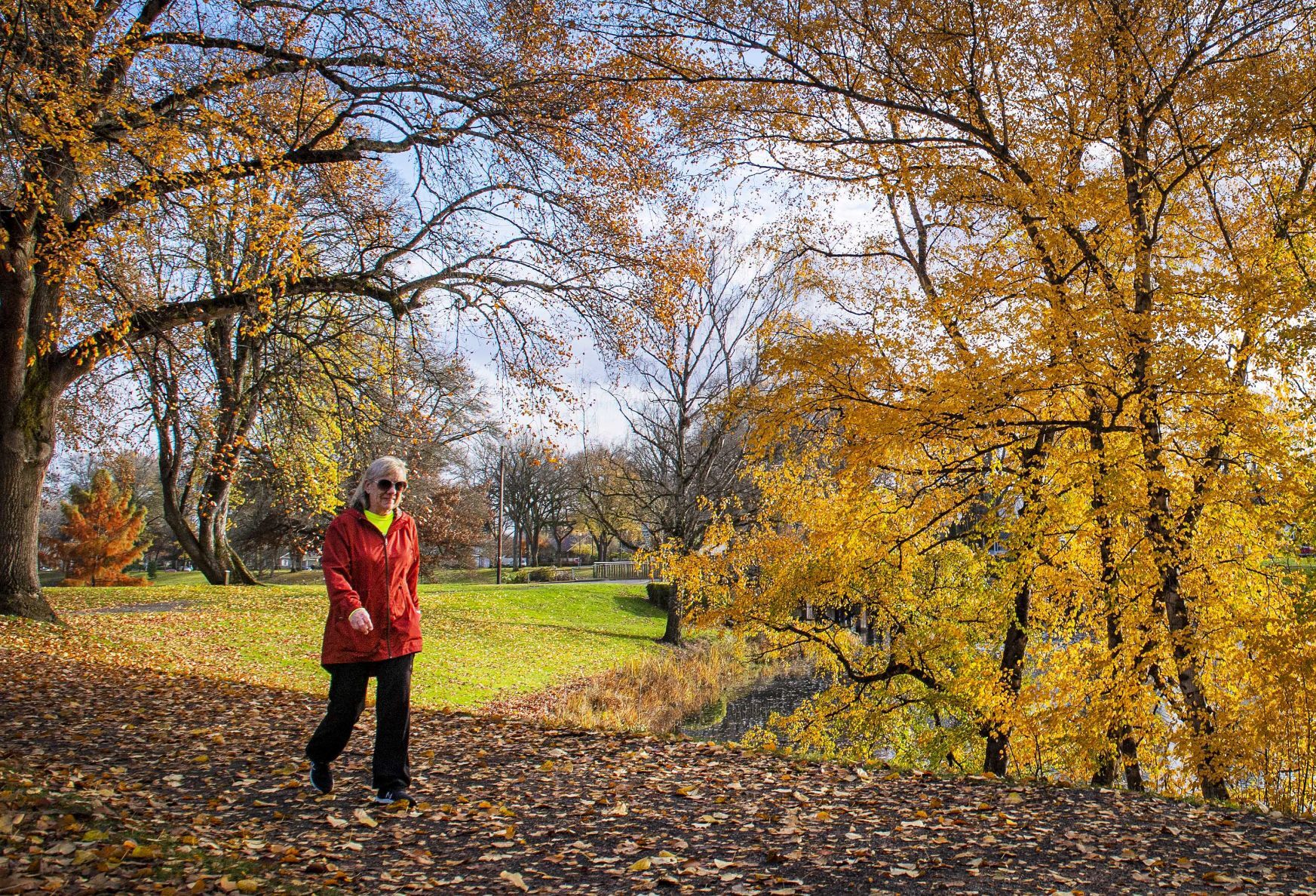 A Fall walk